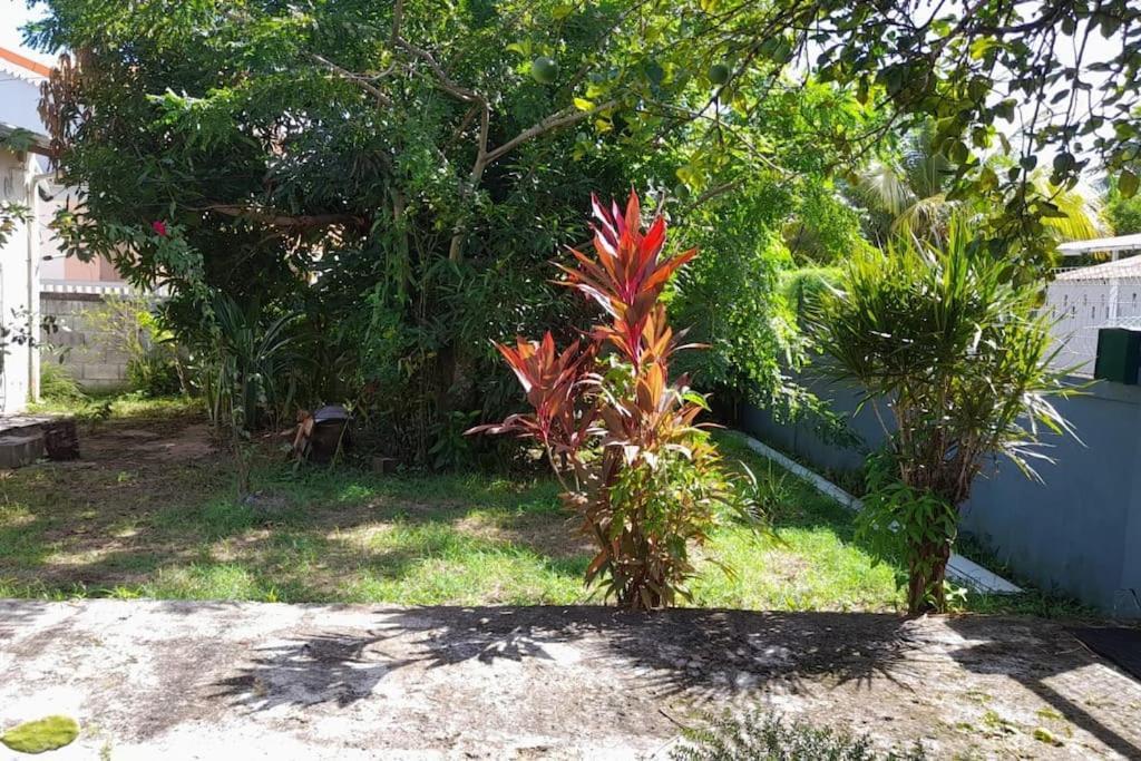 La Petite Maison, Spacieuse, Avec Jardin / Parking Sainte-Rose Exteriör bild